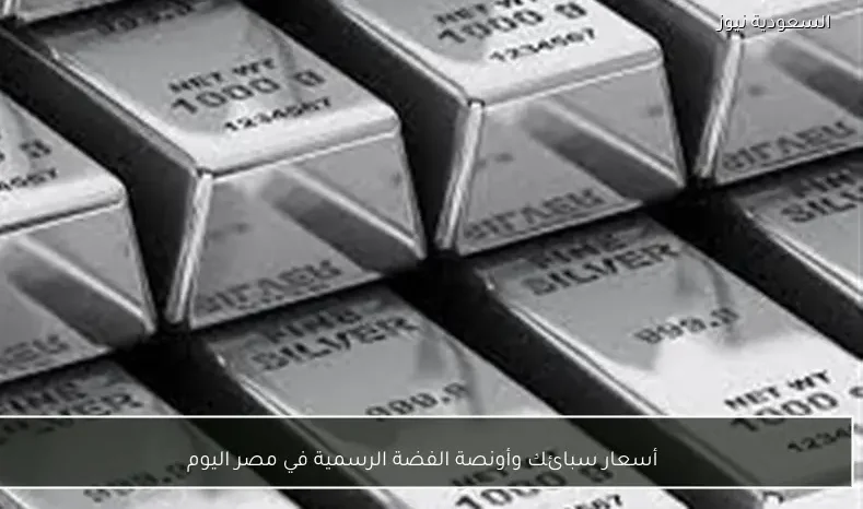 أسعار سبائك وأونصة الفضة الرسمية في مصر اليوم