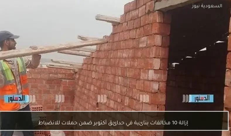 إزالة 10 مخالفات بنائية في حدائق أكتوبر ضمن حملات للانضباط