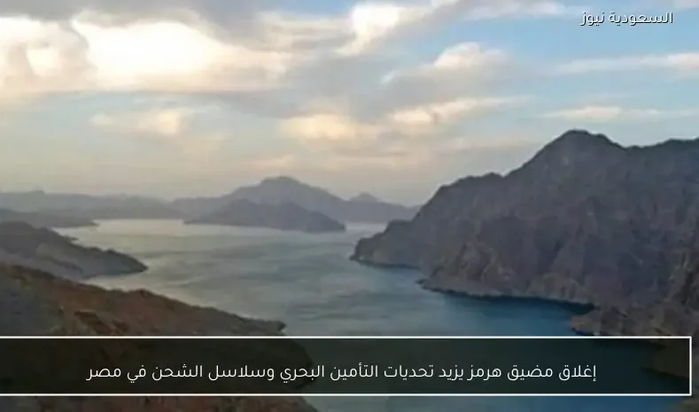 إغلاق مضيق هرمز يزيد تحديات التأمين البحري وسلاسل الشحن في مصر