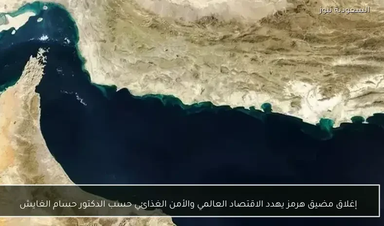 إغلاق مضيق هرمز يهدد الاقتصاد العالمي والأمن الغذائي حسب الدكتور حسام الغايش