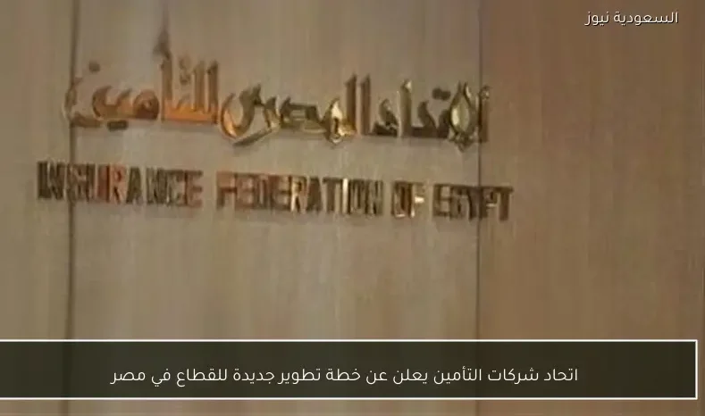 اتحاد شركات التأمين يعلن عن خطة تطوير جديدة للقطاع في مصر