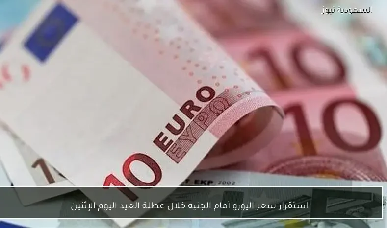 استقرار سعر اليورو أمام الجنيه خلال عطلة العيد اليوم الإثنين