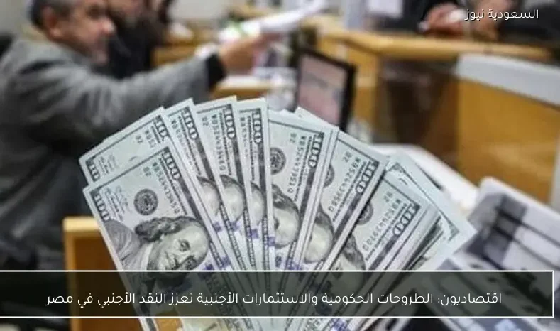 اقتصاديون: الطروحات الحكومية والاستثمارات الأجنبية تعزز النقد الأجنبي في مصر