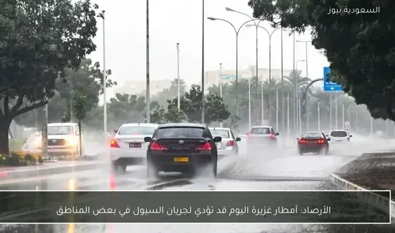 الأرصاد: أمطار غزيرة اليوم قد تؤدي لجريان السيول في بعض المناطق