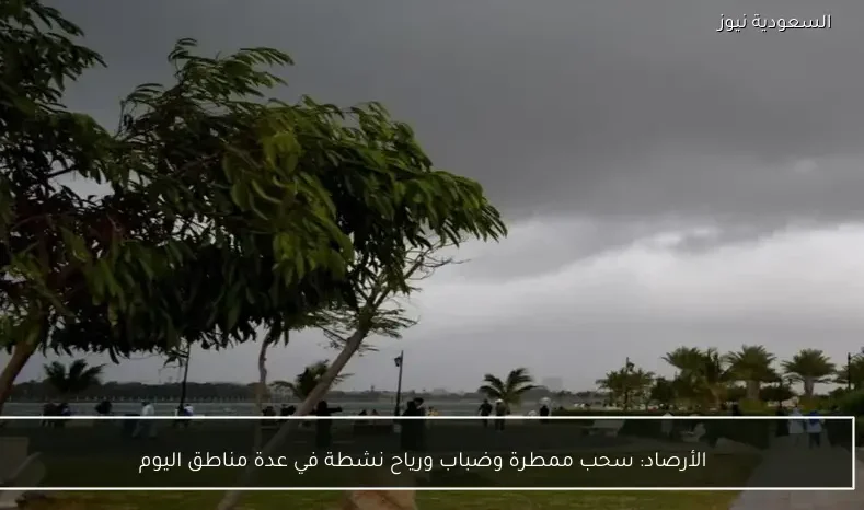 الأرصاد: سحب ممطرة وضباب ورياح نشطة في عدة مناطق اليوم