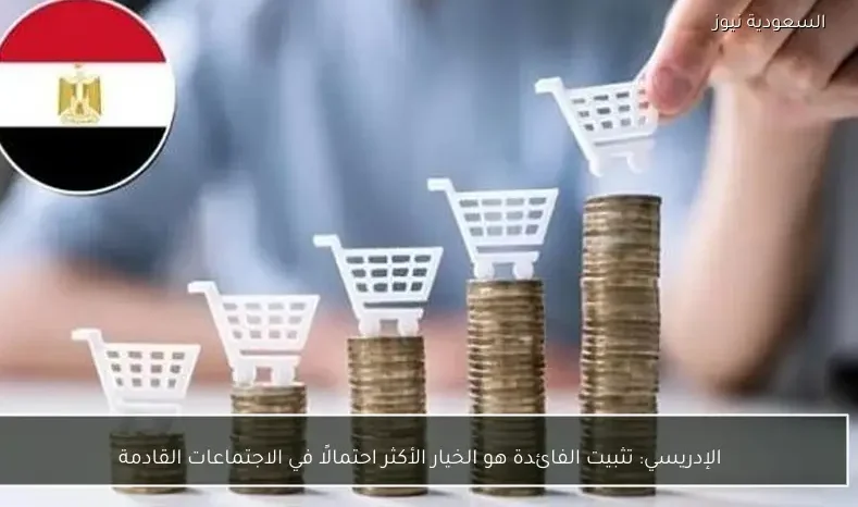 الإدريسي: تثبيت الفائدة هو الخيار الأكثر احتمالًا في الاجتماعات القادمة