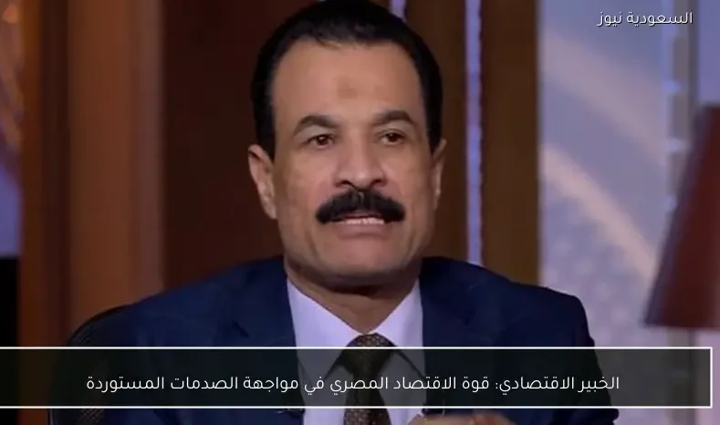 الخبير الاقتصادي: قوة الاقتصاد المصري في مواجهة الصدمات المستوردة