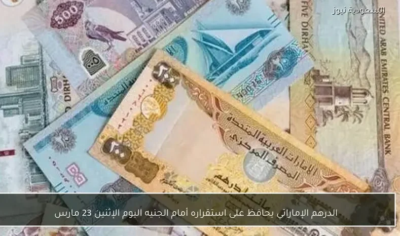 الدرهم الإماراتي يحافظ على استقراره أمام الجنيه اليوم الإثنين 23 مارس