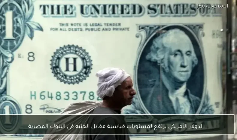 الدولار الأمريكي يرتفع لمستويات قياسية مقابل الجنيه في البنوك المصرية