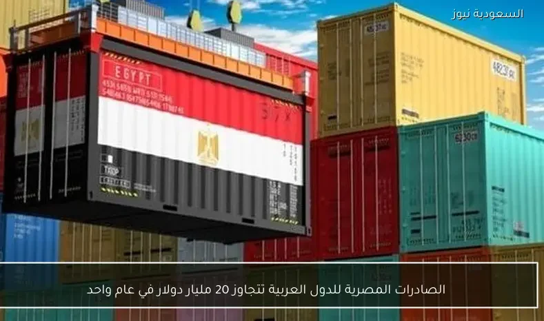 الصادرات المصرية للدول العربية تتجاوز 20 مليار دولار في عام واحد