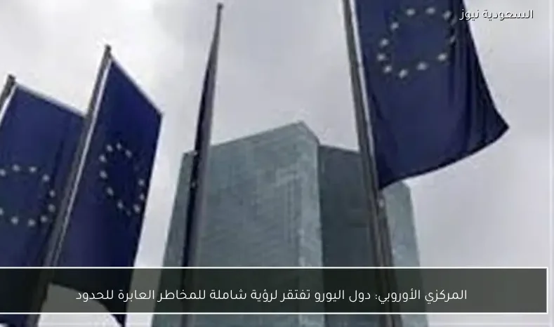 المركزي الأوروبي: دول اليورو تفتقر لرؤية شاملة للمخاطر العابرة للحدود