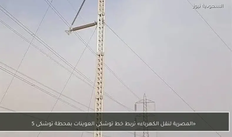 «المصرية لنقل الكهرباء» تربط خط توشكى العوينات بمحطة توشكى 5