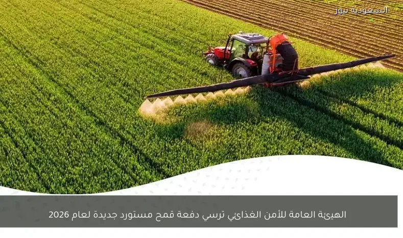 الهيئة العامة للأمن الغذائي ترسي دفعة قمح مستورد جديدة لعام 2026