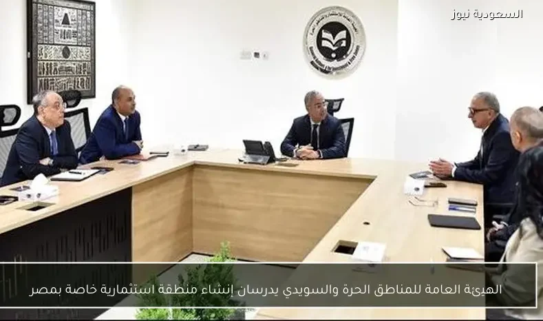 الهيئة العامة للمناطق الحرة والسويدي يدرسان إنشاء منطقة استثمارية خاصة بمصر