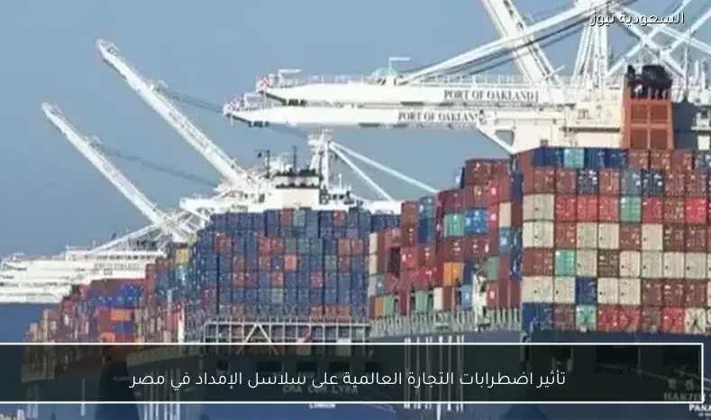 تأثير اضطرابات التجارة العالمية على سلاسل الإمداد في مصر