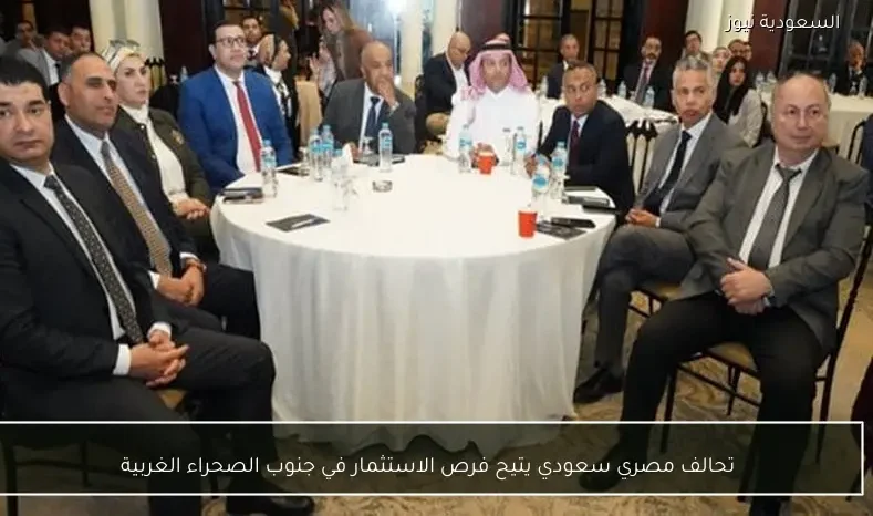 تحالف مصري سعودي يتيح فرص الاستثمار في جنوب الصحراء الغربية