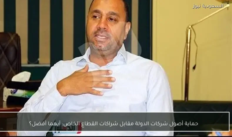 حماية أصول شركات الدولة مقابل شراكات القطاع الخاص: أيهما أفضل؟