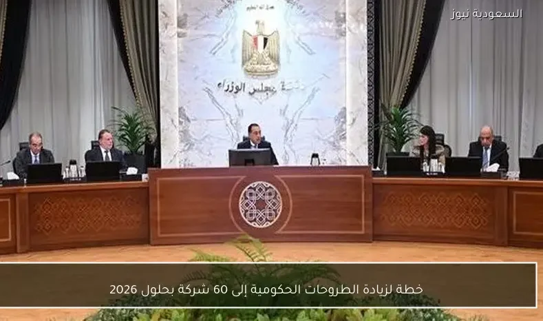 خطة لزيادة الطروحات الحكومية إلى 60 شركة بحلول 2026