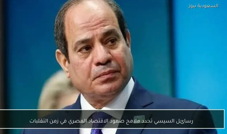 رسائل السيسي تحدد ملامح صمود الاقتصاد المصري في زمن التقلبات