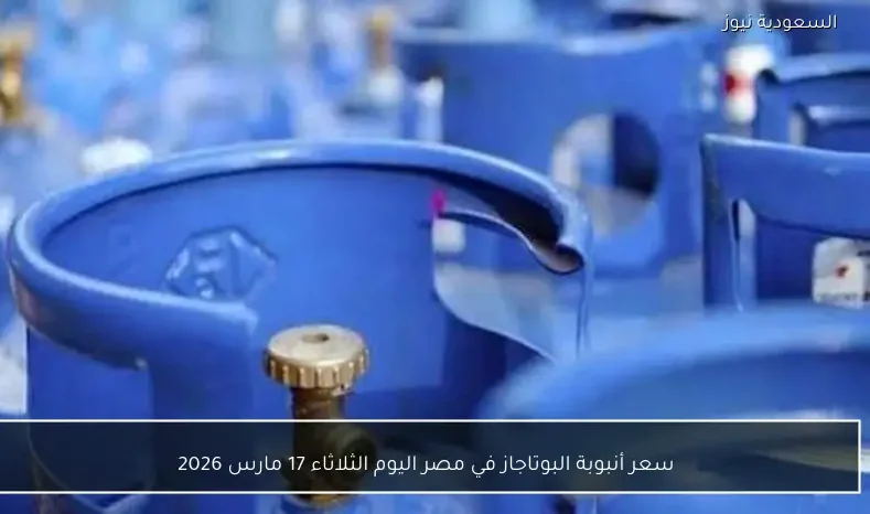 سعر أنبوبة البوتاجاز في مصر اليوم الثلاثاء 17 مارس 2026