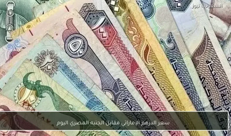 سعر الدرهم الإماراتي مقابل الجنيه المصري اليوم