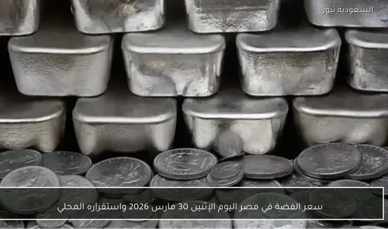 سعر الفضة في مصر اليوم الإثنين 30 مارس 2026 واستقراره المحلي