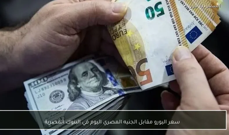 سعر اليورو مقابل الجنيه المصري اليوم في البنوك المصرية