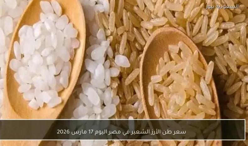 سعر طن الأرز الشعير في مصر اليوم 17 مارس 2026