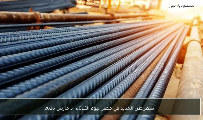 سعر طن الحديد في مصر اليوم الثلاثاء 31 مارس 2026