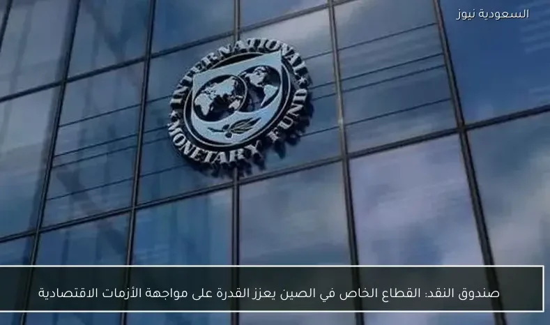 صندوق النقد: القطاع الخاص في الصين يعزز القدرة على مواجهة الأزمات الاقتصادية