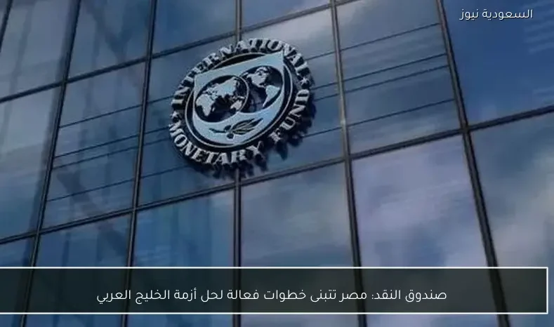 صندوق النقد: مصر تتبنى خطوات فعالة لحل أزمة الخليج العربي