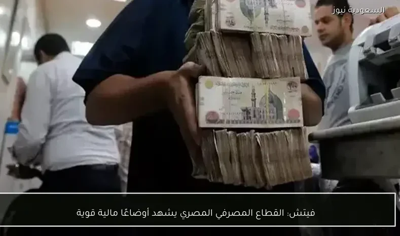 فيتش: القطاع المصرفي المصري يشهد أوضاعًا مالية قوية