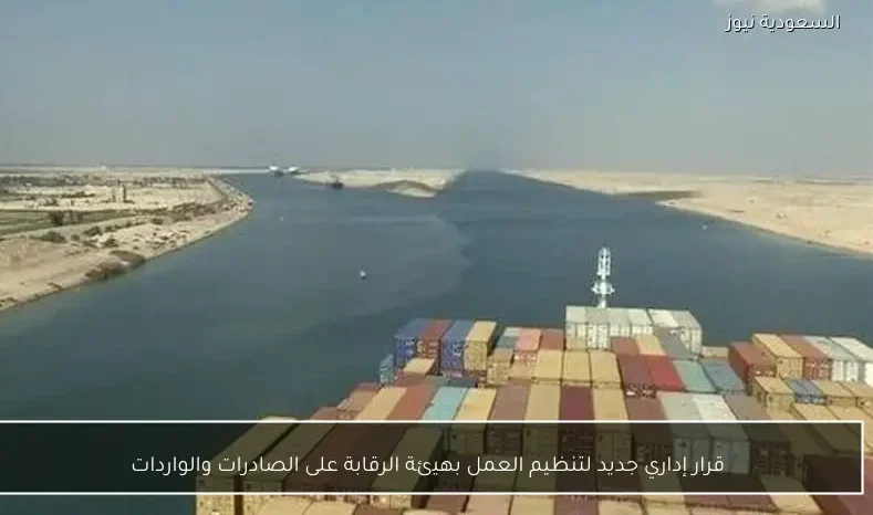 قرار إداري جديد لتنظيم العمل بهيئة الرقابة على الصادرات والواردات