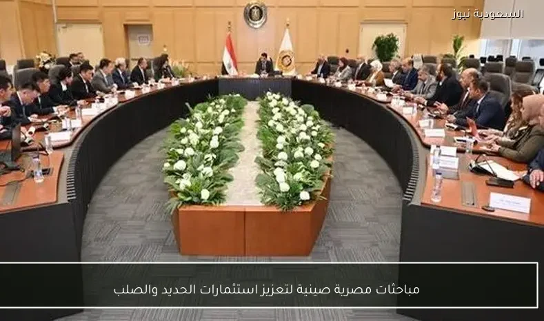 مباحثات مصرية صينية لتعزيز استثمارات الحديد والصلب