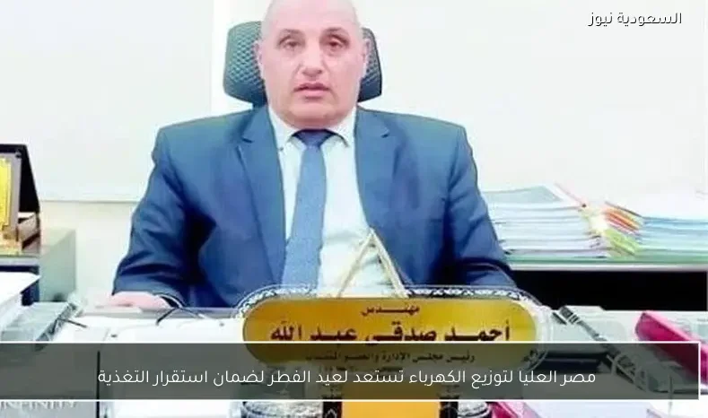 مصر العليا لتوزيع الكهرباء تستعد لعيد الفطر لضمان استقرار التغذية