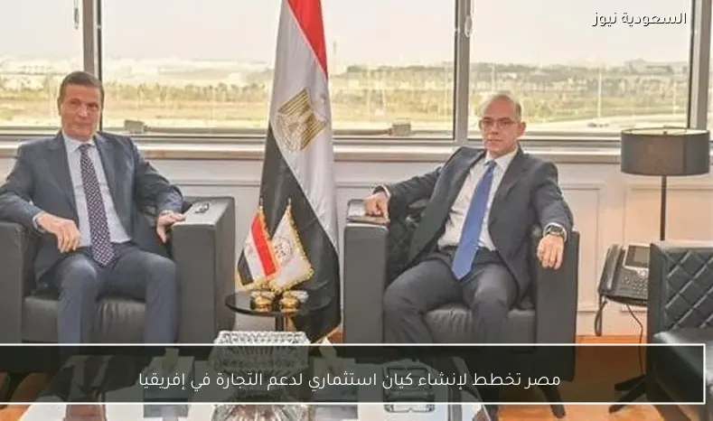 مصر تخطط لإنشاء كيان استثماري لدعم التجارة في إفريقيا