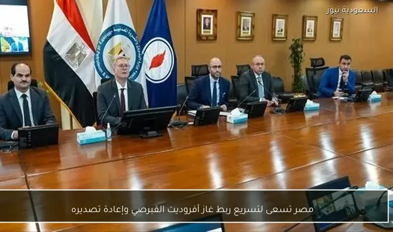 مصر تسعى لتسريع ربط غاز أفروديت القبرصي وإعادة تصديره