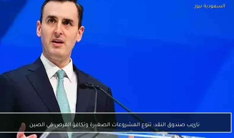 نائب صندوق النقد: تنوع المشروعات الصغيرة وتكافؤ الفرص في الصين