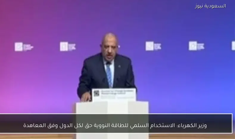 وزير الكهرباء: الاستخدام السلمي للطاقة النووية حق لكل الدول وفق المعاهدة