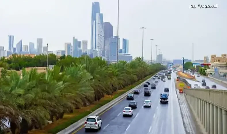 أمطار رعدية وزخات برد تؤدي لجريان السيول في عدة مناطق بالمملكة الأربعاء