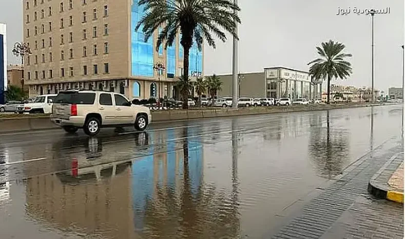أمطار رعدية وزخات برد متوقعة في عدة مناطق بالمملكة الثلاثاء