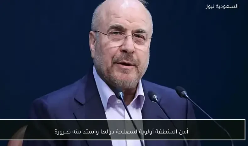 أمن المنطقة أولوية لمصلحة دولها واستدامته ضرورة