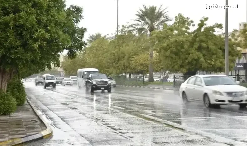 الأرصاد: أمطار غزيرة وجريان السيول في عدة مناطق اليوم