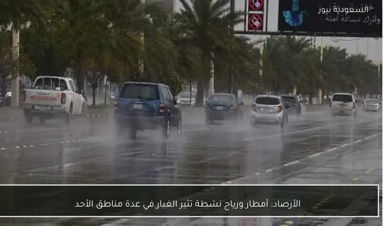 الأرصاد: أمطار ورياح نشطة تثير الغبار في عدة مناطق الأحد