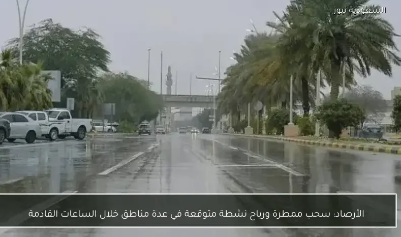 الأرصاد: سحب ممطرة ورياح نشطة متوقعة في عدة مناطق خلال الساعات القادمة