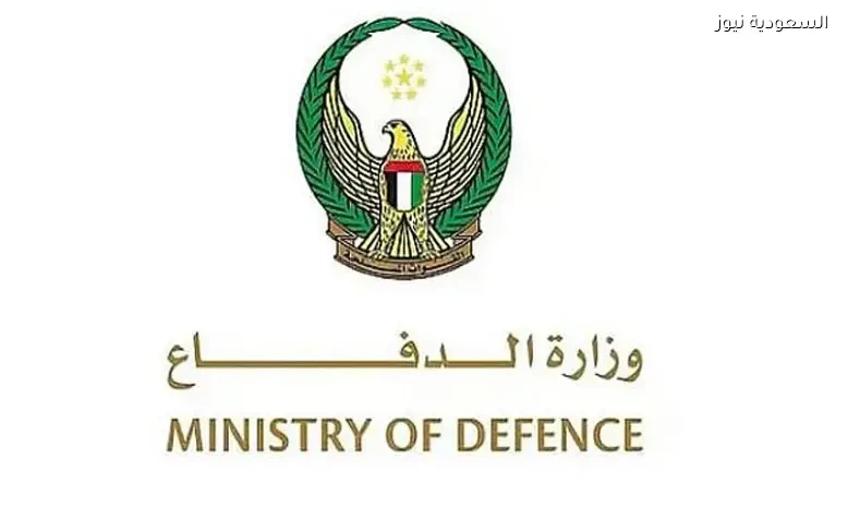 الدفاعات الجوية الإماراتية تتصدى لصاروخ باليستي و11 طائرة مسيّرة