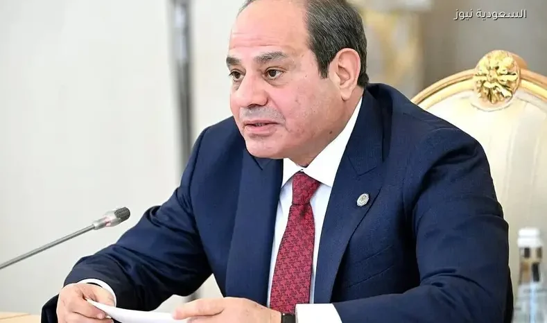 السيسي يؤكد إدانة مصر للاعتداءات على الدول العربية خلال لقاءه مع سانشيز