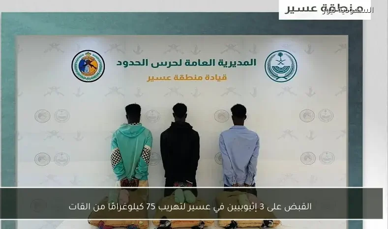 القبض على 3 إثيوبيين في عسير لتهريب 75 كيلوغرامًا من القات