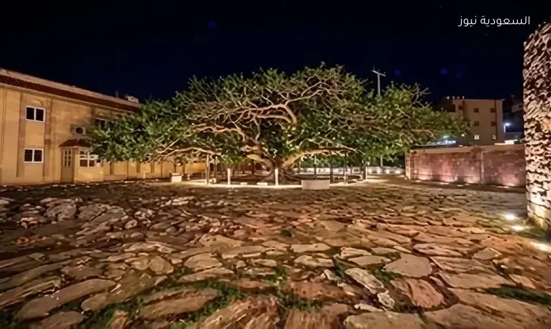 بلدية تنومة تدفع بتطوير المواقع السياحية نحو مستوى جديد لتعزيز المشهد الحضري وجاذبية الزوار