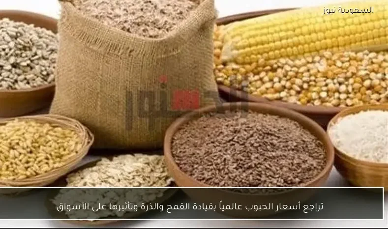 تراجع أسعار الحبوب عالمياً بقيادة القمح والذرة وتأثيرها على الأسواق